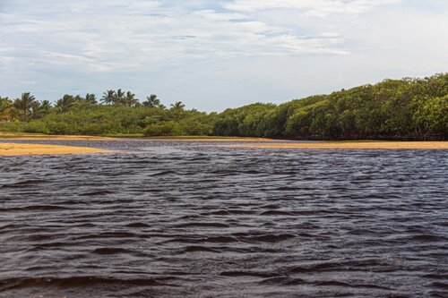 Black River by AIRTON PIRES JUNIOR, Photography for Sale on Singulart