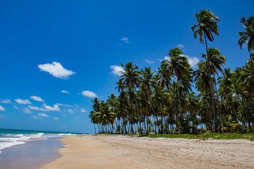 Carneiros Beach by AIRTON PIRES JUNIOR, Photography for Sale on Singulart