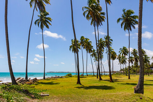 Green Ocean by AIRTON PIRES JUNIOR, Photography for Sale on Singulart