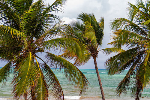 Beautiful view by AIRTON PIRES JUNIOR, Photography for Sale on Singulart