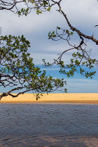 Nature by AIRTON PIRES JUNIOR, Photography for Sale on Singulart