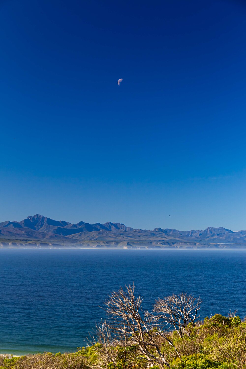 Moon AIRTON PIRES JUNIOR Photography for sale