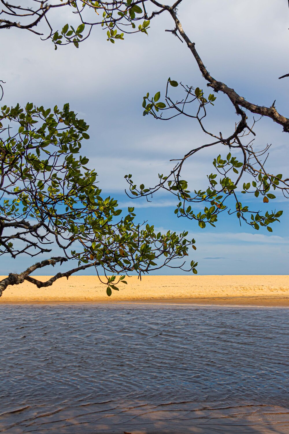 Nature AIRTON PIRES JUNIOR Photography for sale