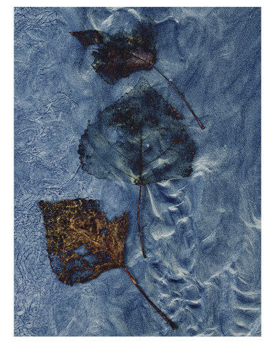 AUTUMN TRIO by Susana Galbis Ibáñez, Photography for Sale on Singulart