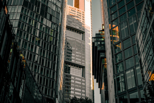 Golden Edge – Urban Jungle par Tim Goger, Photographie en vente sur Singulart