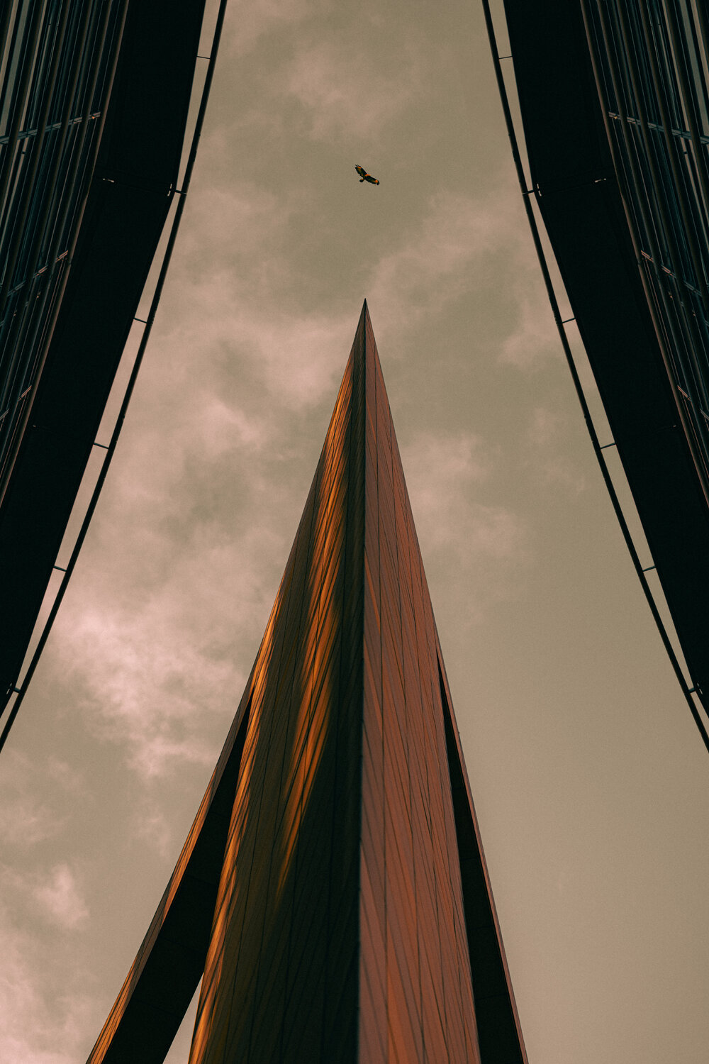 Above It All Tim Goger Photography for sale