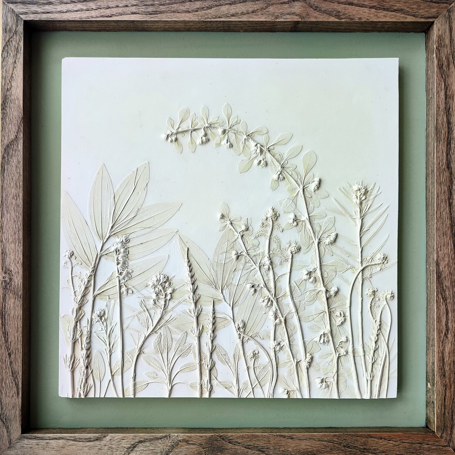 Barberry Tanya Juniper Beeldhouwwerk te koop