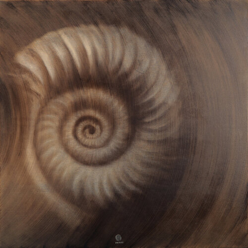 Ammonite. The Memory Spiral. Brown Monochrome Abstract 80*80 cm by ALEXANDRA AVROS, Painting for Sale on Singulart