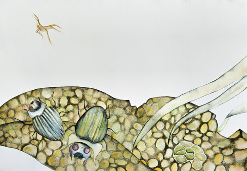 Biosfera 5/26 by Arcangelo Di Donato, Work on Paper for Sale on Singulart