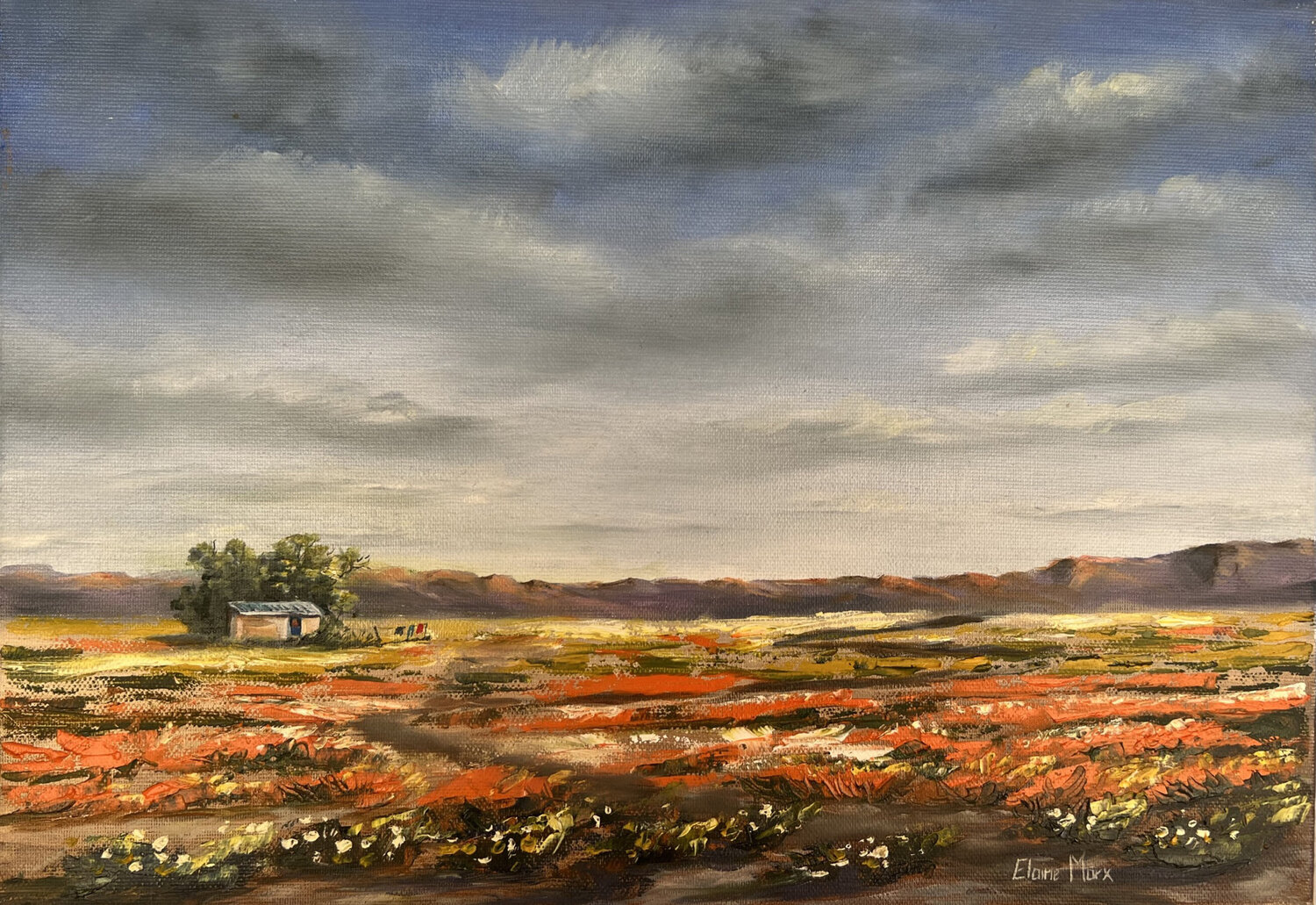 Near Williston Elaine Marx