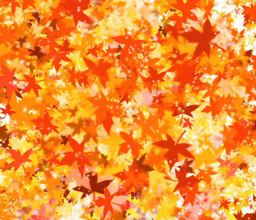 Softly Natural par Teo Sirio Sica, Digital en vente sur Singulart