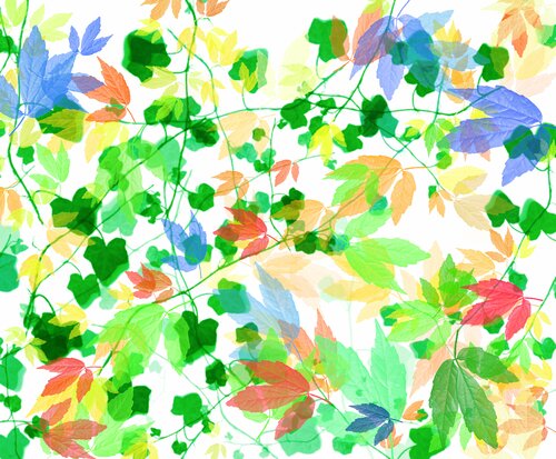 Freely Natural II par Teo Sirio Sica, Digital en vente sur Singulart