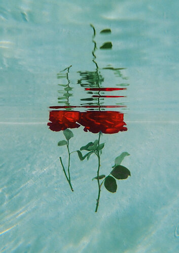 Love von Amélie Chopinet, Fotografie kaufen auf Singulart