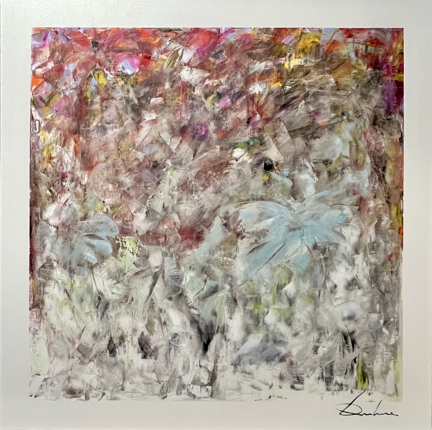 DOUCE Richard Dubure