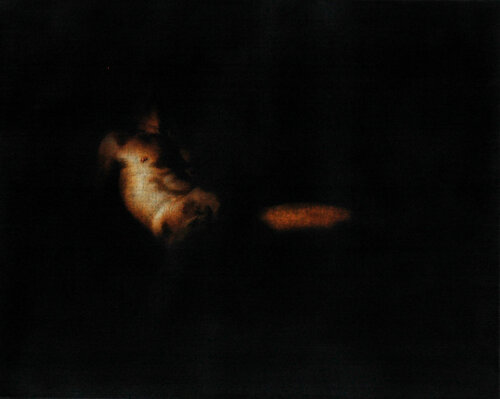 L'amante Gianluca Chiodi