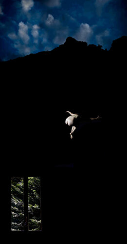 si sta / come d'utunno / sugli alberi / le foglie van Gianluca Chiodi, Fotografie te koop op Singulart