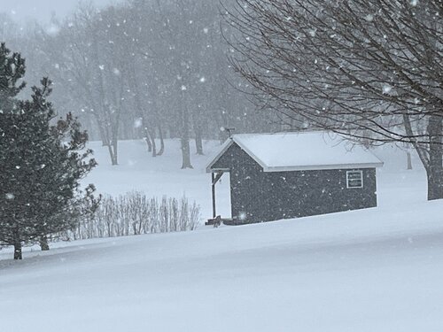 Snow Day de Robin Downey, Fotografía a la venta en Singulart