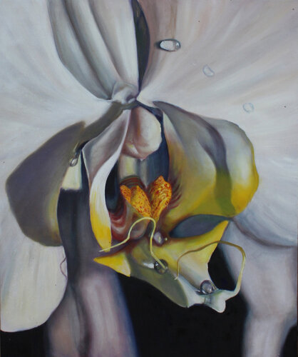 Orchid Heart van Sherie Harkins, Schilderij te koop op Singulart