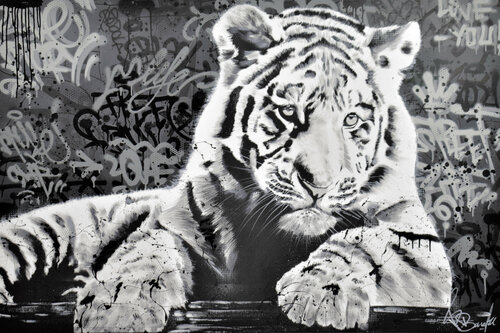 GRAFFITI TIGER Vincent Bardou