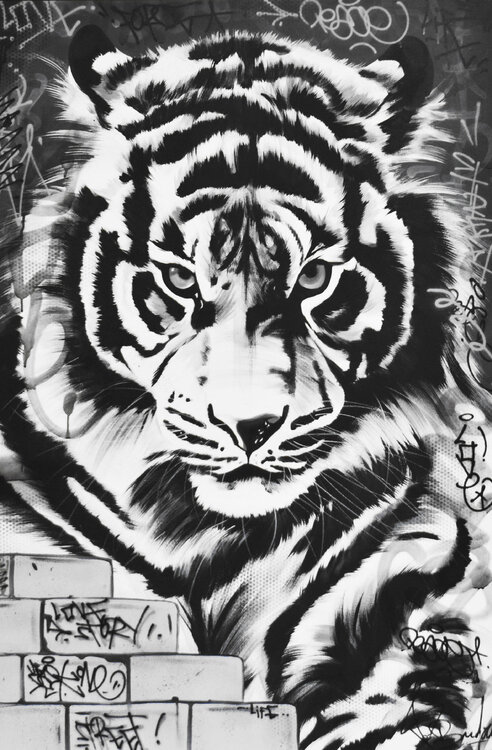BLACK TIGER Vincent Bardou