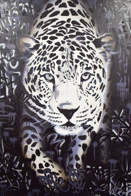 BLACK LEOPARD Vincent Bardou