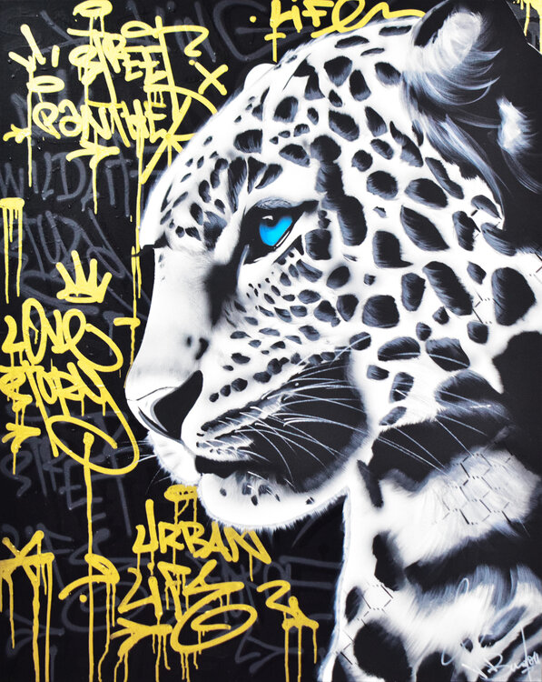 WILD PANTHER Vincent Bardou