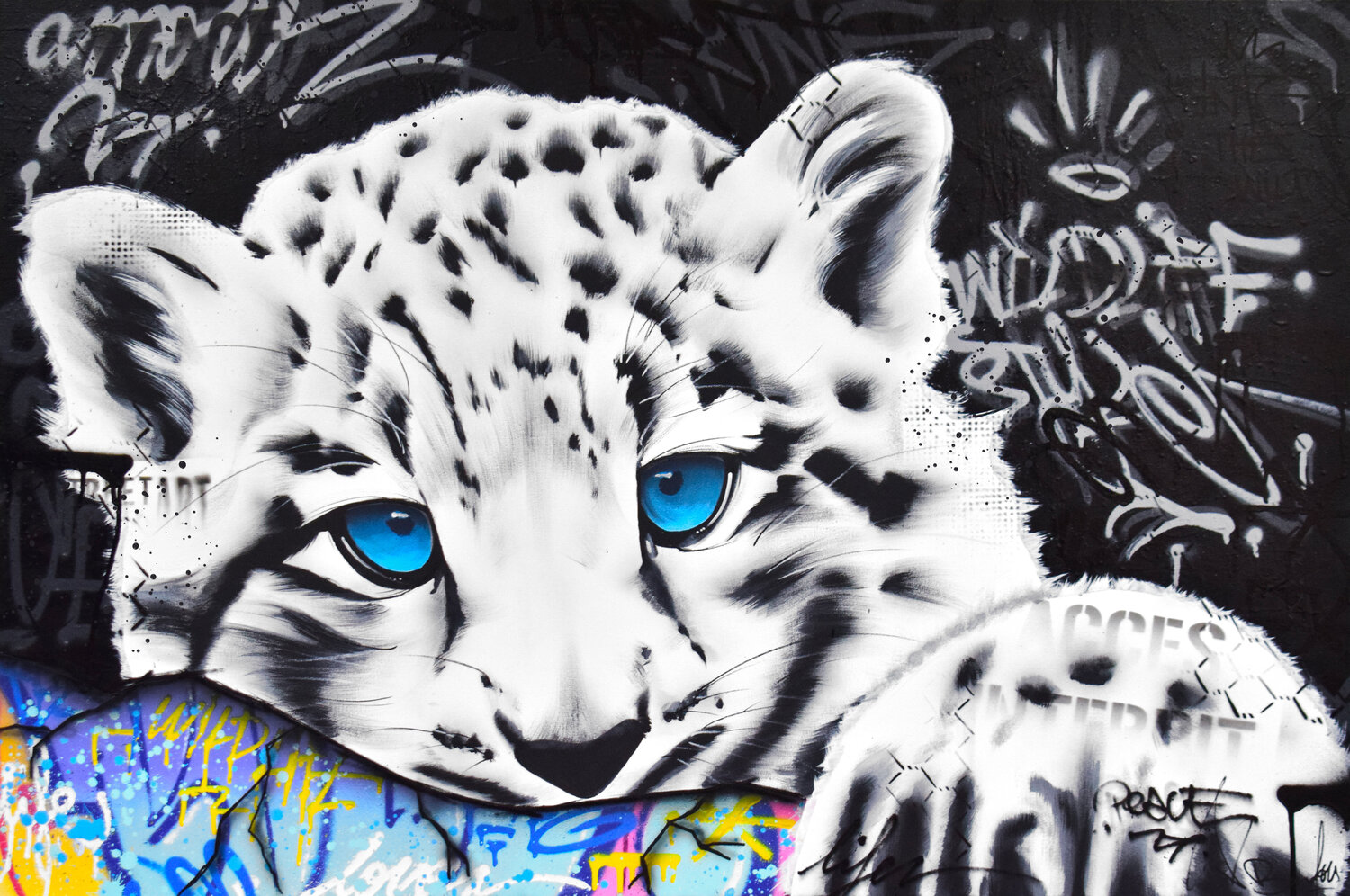 INTO THE WILD Vincent Bardou