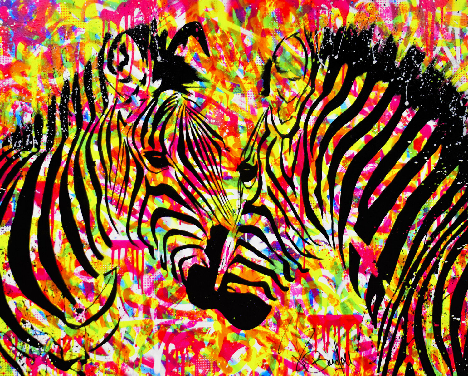 ZEBRA'ART Vincent Bardou