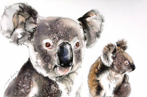 Koala Kinship Soo Beng Lim