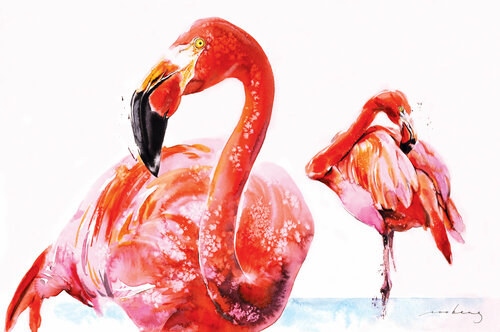 Flamenco Wader by Soo Beng Lim, Drawing for Sale on Singulart