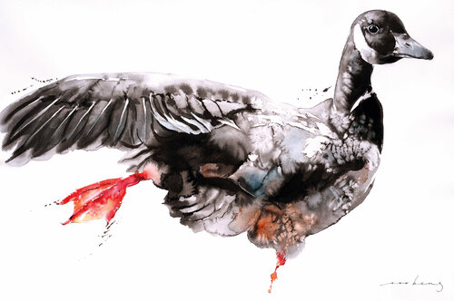 Geese Dance2 by Soo Beng Lim, Drawing for Sale on Singulart