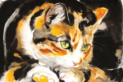 Kitty Honey Soo Beng Lim