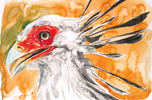 Secretary Bird by Soo Beng Lim, Drawing for Sale on Singulart