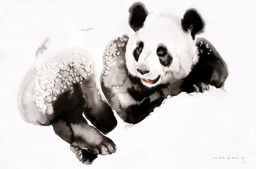 Cosy Panda3 Soo Beng Lim