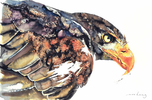 Eagle Dynamic by Soo Beng Lim, Drawing for Sale on Singulart