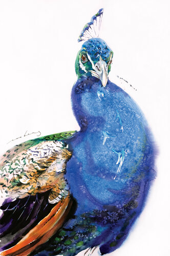 Regal Fowl by Soo Beng Lim, Drawing for Sale on Singulart