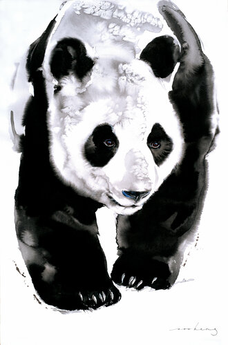 Panda Trail di Soo Beng Lim, Disegno in vendita su Singulart