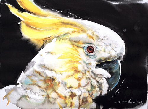 Crowned Feathers par Soo Beng Lim, Dessin en vente sur Singulart