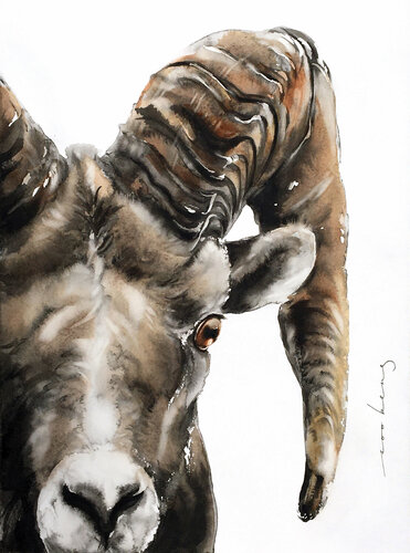 Stone Sheep (SOLD) par Soo Beng Lim, Dessin en vente sur Singulart