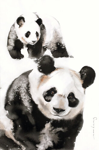 Panda Pair von Soo Beng Lim, Zeichnungen kaufen auf Singulart