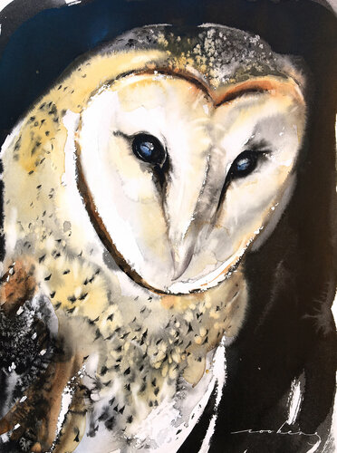 Barn Owl (SOLD) par Soo Beng Lim, Dessin en vente sur Singulart