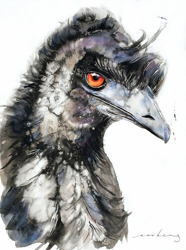 Emu Racer4 by Soo Beng Lim, Drawing for Sale on Singulart