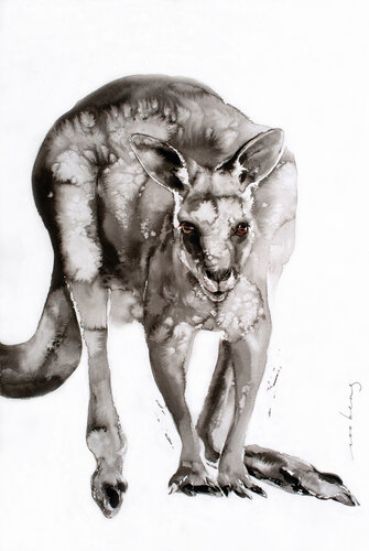 Aussie Boomer by Soo Beng Lim, Drawing for Sale on Singulart
