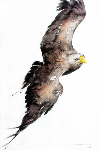 Soaring Above2 by Soo Beng Lim, 소묘 for Sale on Singulart