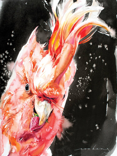 Cacatua2 par Soo Beng Lim, Dessin en vente sur Singulart