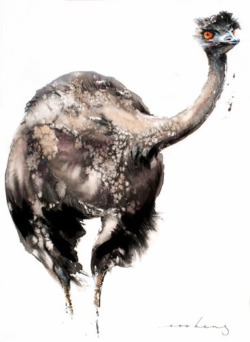 Emu Racer5 by Soo Beng Lim, Drawing for Sale on Singulart