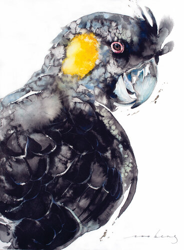 Yellow-Tailed Black Cockatoo (SOLD) van Soo Beng Lim, Tekening te koop op Singulart