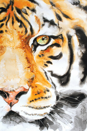 Water Tiger (SOLD) van Soo Beng Lim, Tekening te koop op Singulart