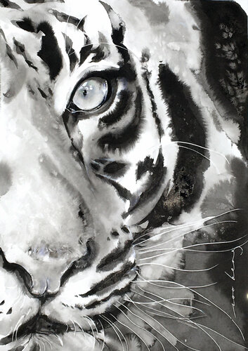 Water Tiger3 van Soo Beng Lim, Tekening te koop op Singulart