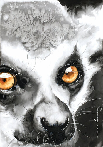 Madagascan Princess2 de Soo Beng Lim, Dibujo a la venta en Singulart